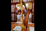 arpista-maribel-martin6839a3020ed302.39902642.jpg