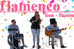 flamenco-konfusion683990f22f13e5.90020670.png