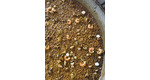 la-nina-valenciana68300f4d6164b5.84964601.jpg