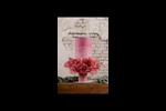 jesy-entre-pasteles68b8d060bfab97.22956929.jpg