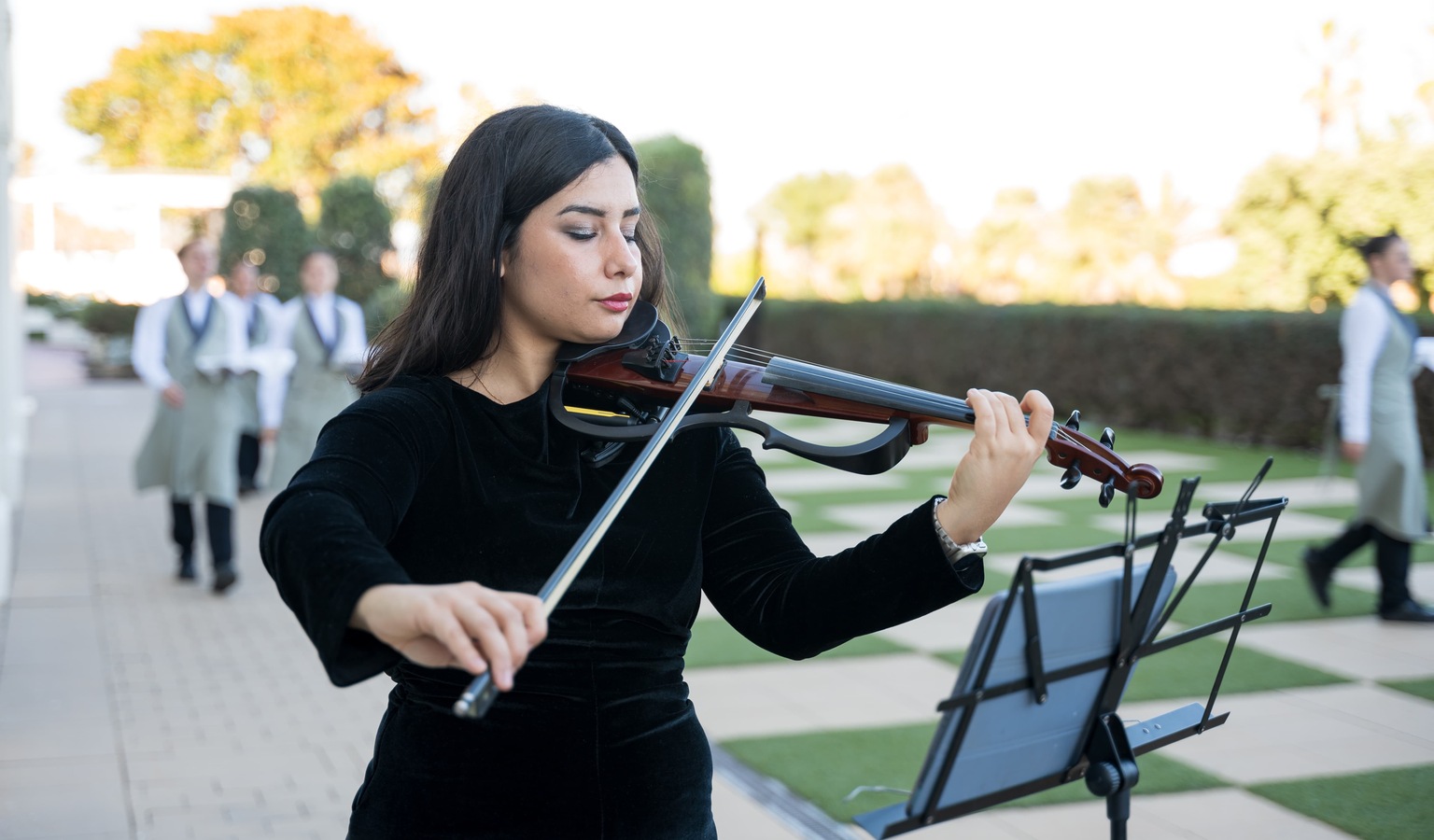Violinista Eléctrico