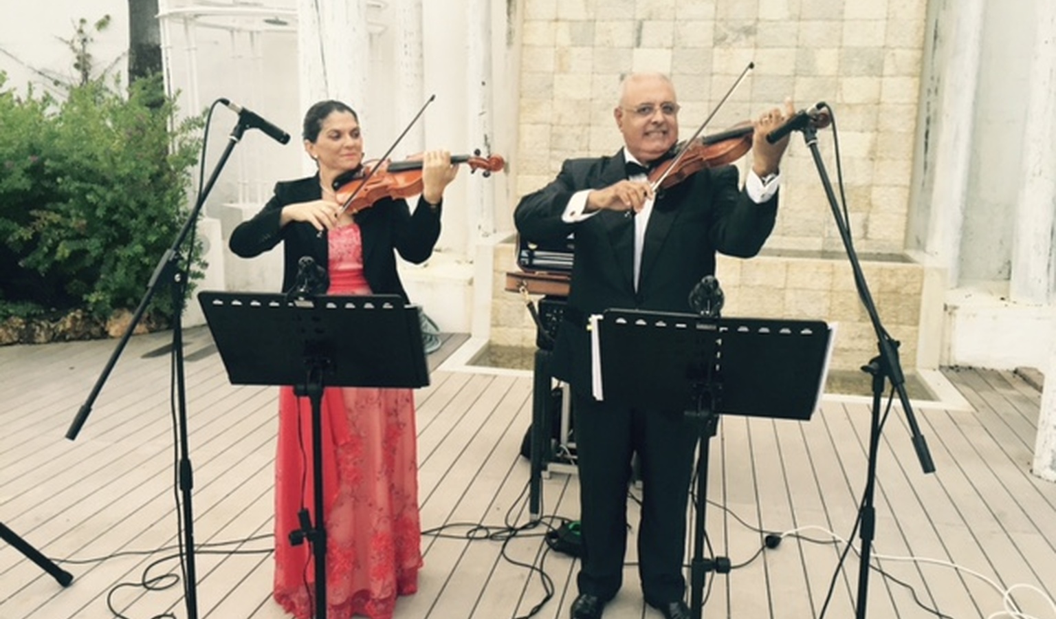 Violinistas